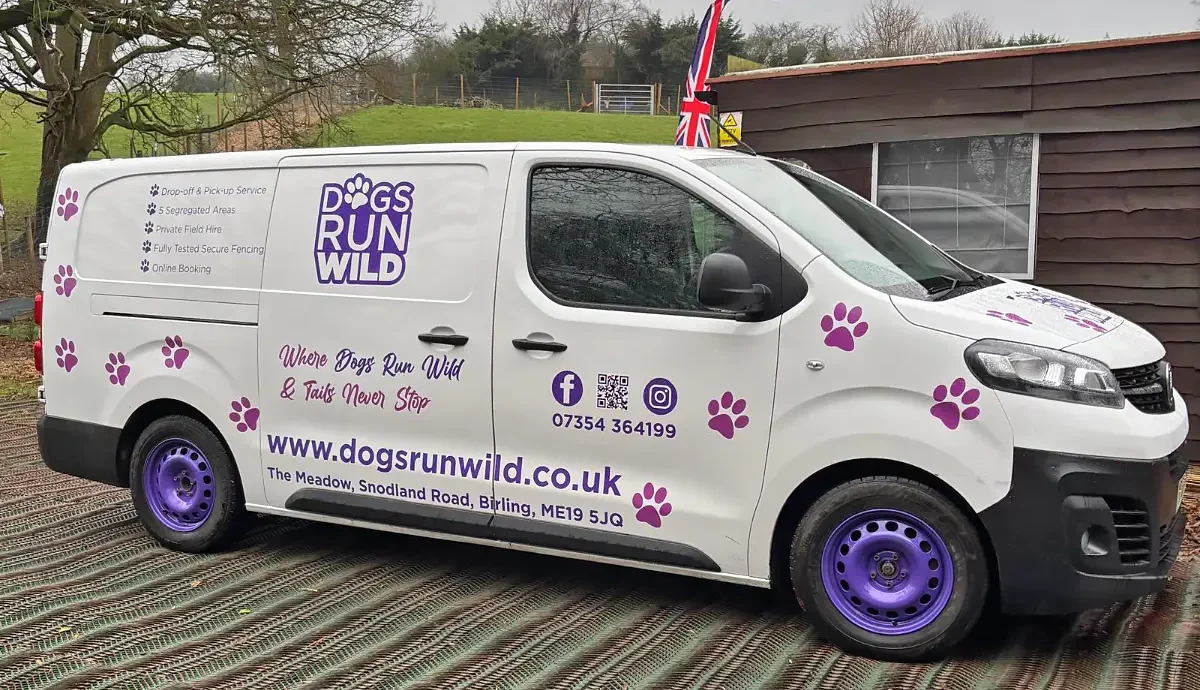 Dogs Run Wild Off Lead collection vehicle